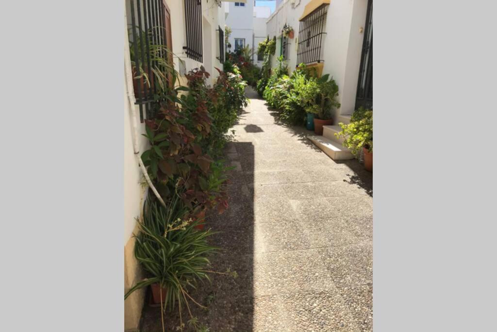 Apartamento Con Azotea Privada Para Parejas Y Familias 콘일데라프론테라 외부 사진